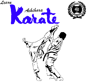 For Adults: Ashihara Karate South Africa - Sabaki-Do Fighting Karate